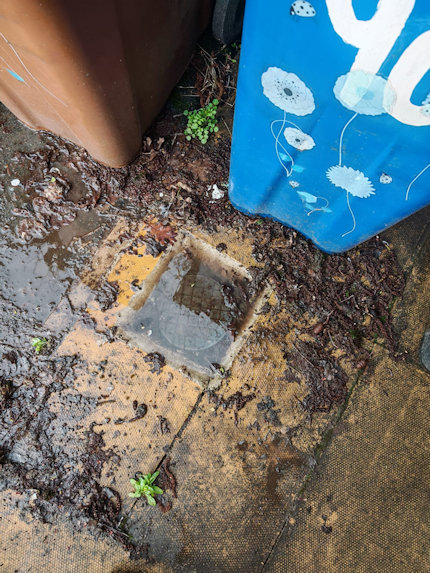 Water leak detection and excavation